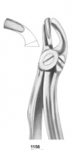  Fig. 19 upper third molars 